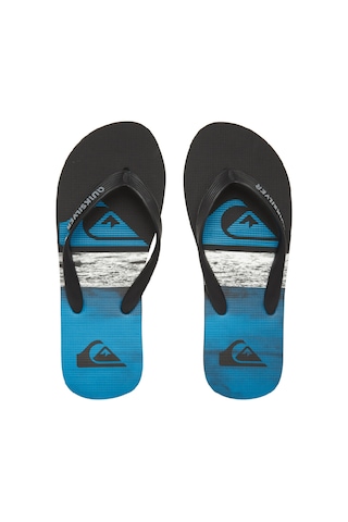 Quıksılver Quiksilver Molokai Panel Çocuk Sandalet Mavi