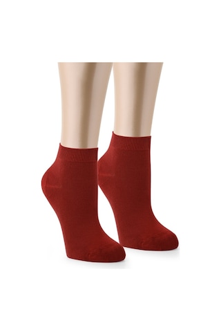 Ozzy Socks Bambu Dikişsiz Kadın Patik Çorap 12 Çift Çok Renkli