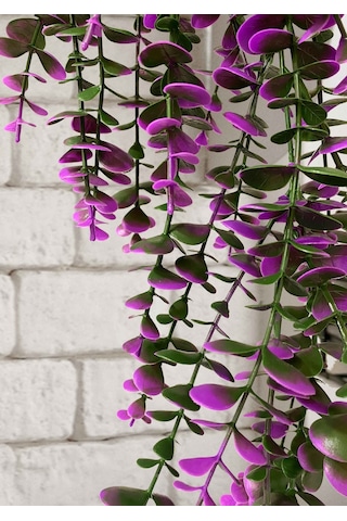 Özel Tasarım Iki Renkli Elmas Beyaz Saksılı Mor - Yeşil Okaliptus Sarkıtı