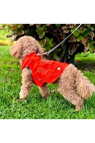 Yeni - Orange Renk Kot Köpek Yeleği - Küçük Irklar İçin Şık Ve Ra