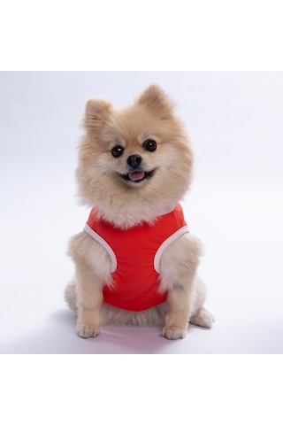 Turuncu Keep Show-ıng Up Tişört Kedi Köpek Tişörtü-kedi Köpek Kıyafeti S