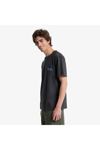 Quiksilver Fruits Tide Erkek Gri T-shirt Eqyzt08285