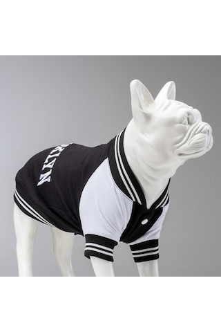 College Brooklyn Küçük Orta Ve Büyük Irk Köpek Sweatshirt