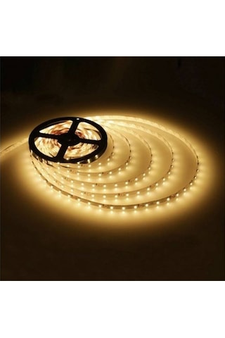 Tek Çipli İç Mekan Silikonsuz Şerit Led | 5 Metre
