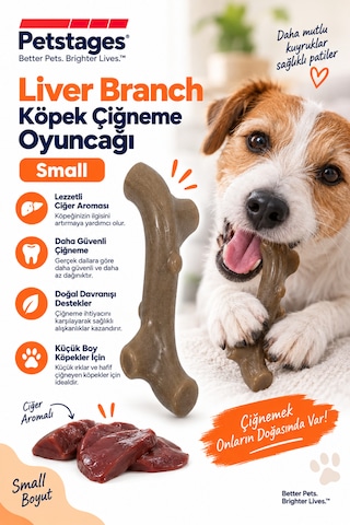 Petstages Liver Branch Köpek Çiğneme Oyuncağı Small
