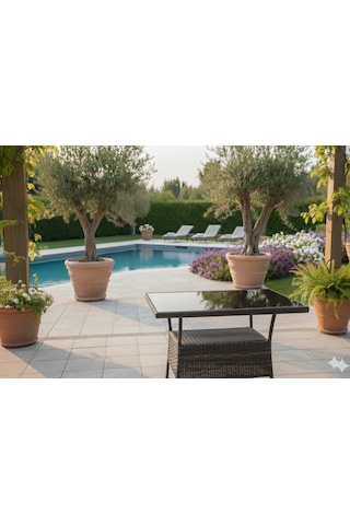 Garden Rattan Antrasit Cam Tablalı Bahçe Ve Balkon Sehpası / Masası