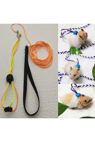 Ozzipetshop Gonzales Hamster Gezdirme Ve Dolaştırma Tasması Patentli Tasarım