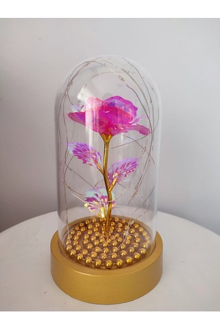 Pembe Gül Sarı Tabanlı Işıklı Fanus