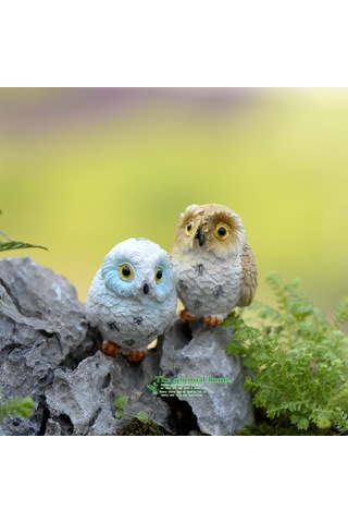 Hangfox Kulaklı Koyu Renkli Ayaklı Baykuş Desenli Reçine Süs Eşyası - Bitki Mikro Manzaralı Ev Dekorasyonu Hediyelik Zakkas 4. Numara