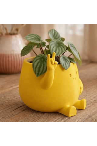 Northcity 3d Baskı Smiley Face Planter - Gülümseyen Karakterli Saksı-sarı