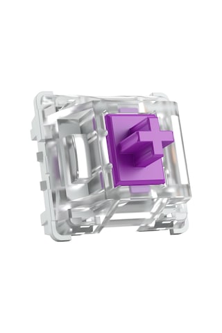 Glorious Pc Gaming Race Kailh Pro Purple Switches 120 Adet , Oyu