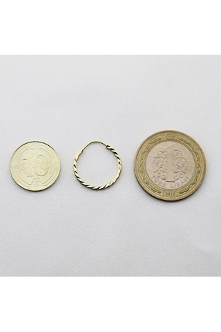 Yelpaze Kalemli Altın Halka Küpe Çapı: 1.8cm Pembe Altın
