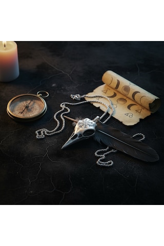 Koruma Kuzgun Kafatası - Vegvisir Gümüş Kaplama Örme Zincir Kolye Silver