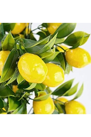 Rüzgar Çiçekcilik Yapay Limon Demeti Sarı