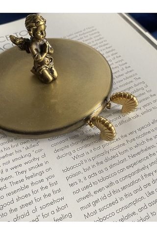 Deniz Kabuğu Halka Çelik Kararmaz Gold Kaplama Küpe Çifti Altın