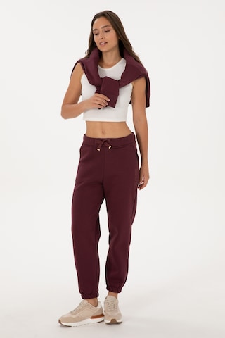 U.S. Polo Assn. Kadın Bordo Jogger Eşofman Altı 50307736-VR177