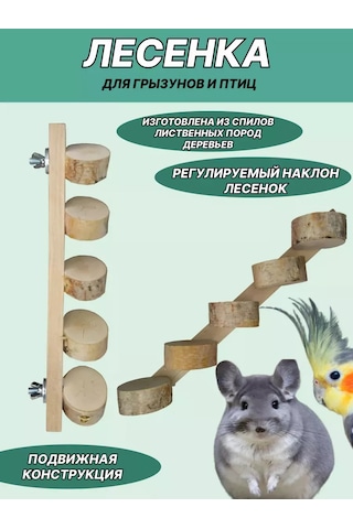 Mouse House Kemirgenler Ve Kuşlar İçin Merdiven 209533534