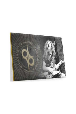 Cakasepetim Dimebag Darrell Elektrogitar Ahşap Mdf Tablo