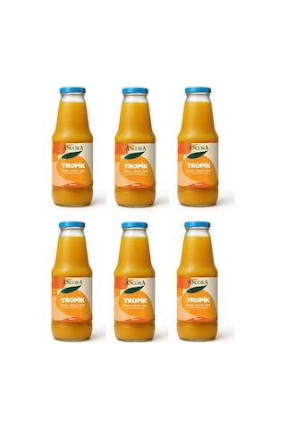 Ancora Tropik Karışık Meyve Suyu 1 Lt X 6 Adet
