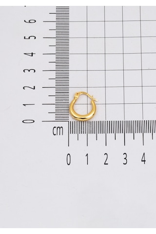 Bilezikci Hilal Halka Altın Küpe Sarı Altın