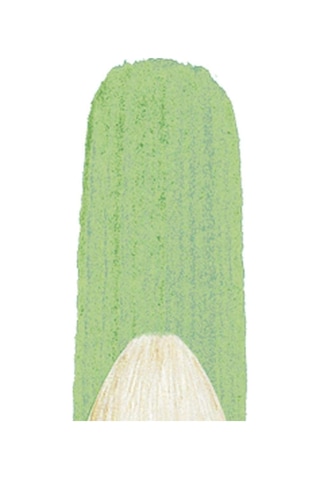 Winsor & Newton 5976703 Winton Filbert Fırçası- No.3-6,5 Mm, Yağlı Boya, Akrilik Boya Ve Alkid Boya İçin