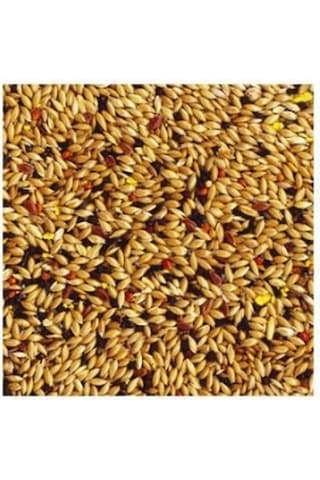 Tropifit Kanarya Kuşu Yemi 700 Gram