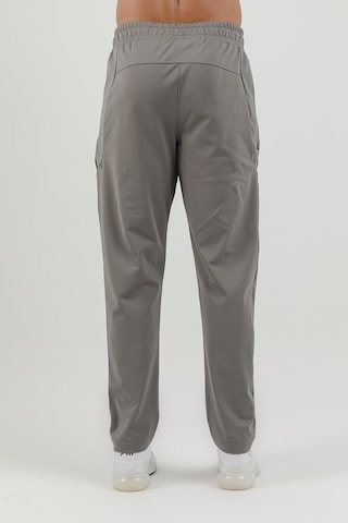 Airlife Sportswear Erkek Düz Paçalı Eşofman Altı Gri
