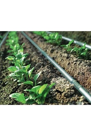 DAMLAMA SULAMA BORU SABİTLEME KAZIĞI KISA 15CM (50 ADET)