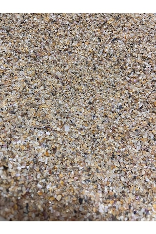 Midye Kırığı Akvaryum Kumu 1 Kg