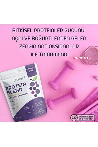 Naturiga Berry Protein Karışımı 250 G