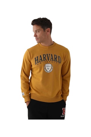 Harvard Erkek Sweatshirt Hardal Hardal