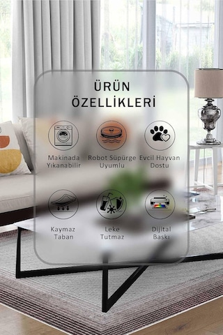 Gül Kurusu Halı 1509 - Yıkanabilir, Kaymaz Taban, Dijital Baskılı, Leke Tutmaz, İnce Hav, Modern Salon, Oturma Oda Çok Renkli