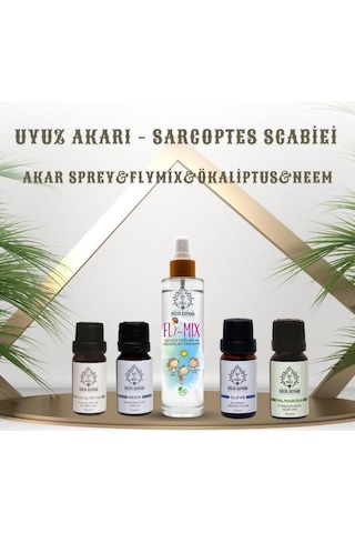 Art De Huile By Hülya Kayhan Fly-Mix Vücut Spreyi Uyuz Akarı Seti