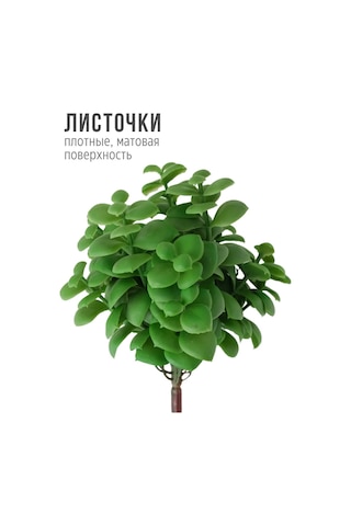 Wisty Dekor İçin 18,5 Cm Yapay Sukulent - Kırkayak Bitki 147202001 Yeşil