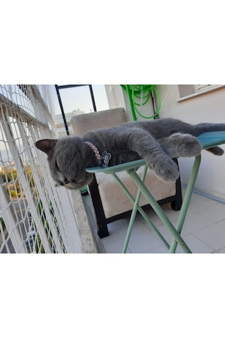 Morilu Kuş Ağı – 2 cm Gözenekli – 1,5 mm İp – Kuş Filesi – Balkon Ağı