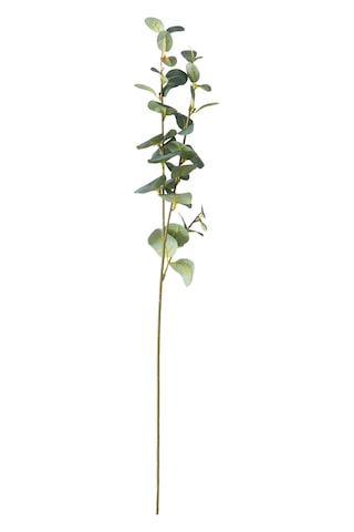 Mudo Home Aura Dal Çiçek 70 Cm Yeşil