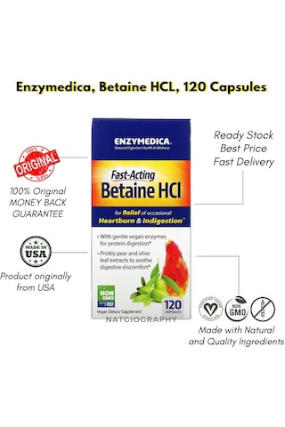 Betaine Hcl Acid-active Protease Blend Mucosave Fgnatural Digestive Health & Wellnessfor Relief Of Occasional Heartburn & Indigestion Mineral