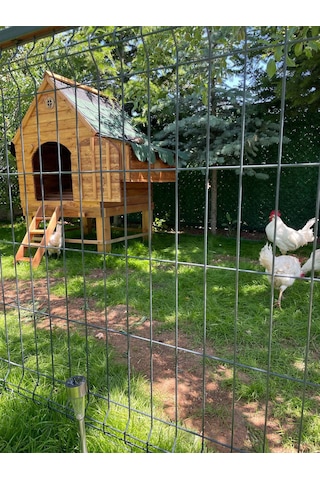 Ahşap Tavuk Kümesi