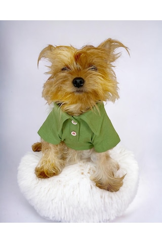 Grass Green Köpek Gömleği Köpek Kıyafeti Köpek Elbisesi