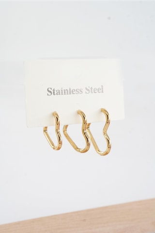 Kadın Vip Seri 316 L Paslanmaz Çelik Kalp Model 3'lü Küpe Seti 002