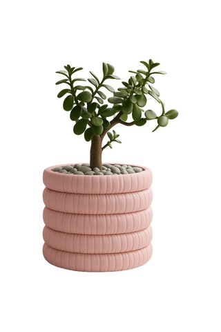 Soft Bloom Saksı Minimal Şıklık