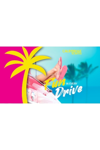 California Scents® Vent Stick "Newport New Car" Kalorifer Geçme Koku 4'lü Set