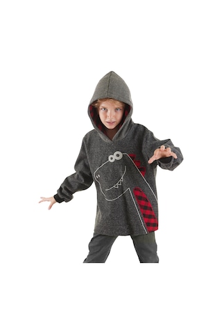 Denokids Dino Erkek Çocuk Kapüşonlu Sweatshirt Gri