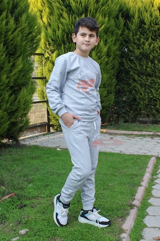 Fyk Kids Trex Baskılı Erkek Çocuk Alt-üst Eşofman Takımı Gri