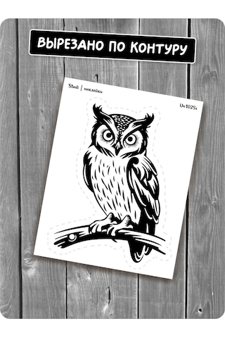 Stadi İç Mekan İçin Dekoratif Çıkartma Buçuk 223576726 Siyah