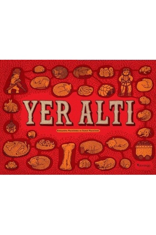 Yer Altı Su Altı - Aleksandra Mizielinska - Domingo Yayınevi