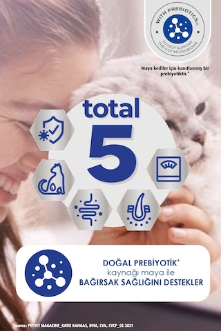 Perfect Fit Sığır Etli Yetişkin Kedi Maması 750 G