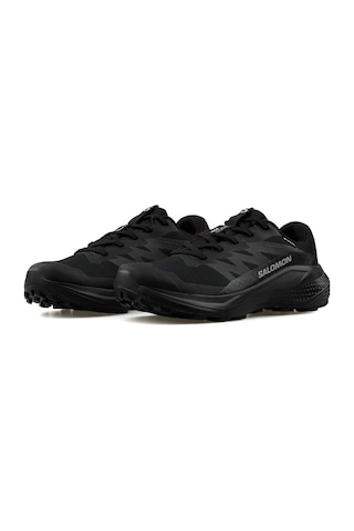 Salomon Alphaglıde Gore-tex Kahverengi