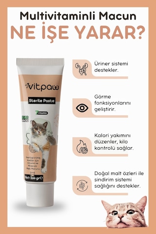 Vitpaw Kısırlaştırılmış Kediler İçin Vitamin & Mineralli Malt Macunu Sterile Paste 100 G