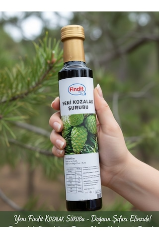 Findit Yeni Kozalak Şurubu - Doğal Bitkisel Destek 250 Ml